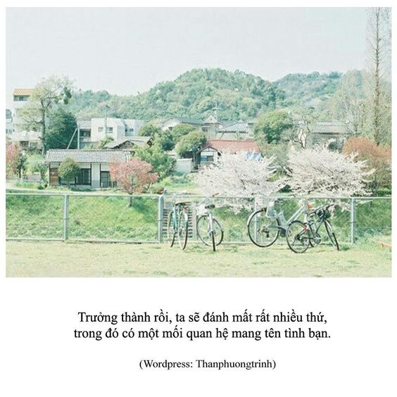 quotes-hay-ve-thanh-xuan (7)