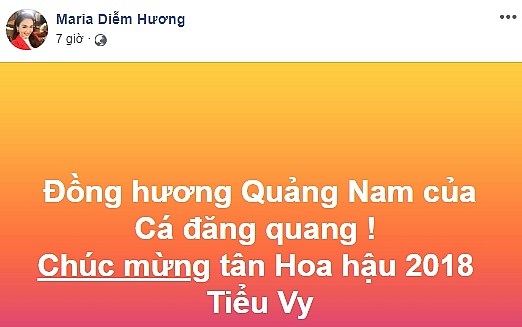 Tân Hoa hậu Việt Nam 2018 Trần Tiểu Vy nhận cơn mưa lời khen sau khi đăng quang 6
