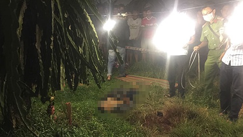   Hiện trường vụ án mạng xảy ra tại vườn thanh long ở Bình Thuận  
