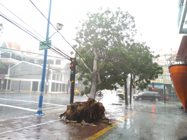 Cập nhật tin bão số 9: Bà Rịa- Vũng Tàu mưa lớn, nhiều tuyến đường bị ngập 2