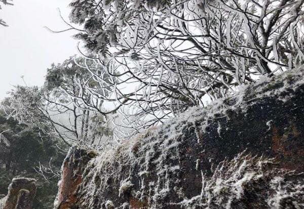 Thực hư hình ảnh Sa Pa đã có tuyết rơi trắng xóa như trời Âu 3