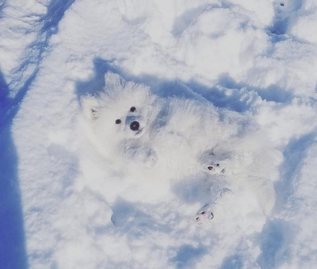 18 hình ảnh chứng minh băng tuyết chỉ lãng mạn trên phim còn thực tế lại đáng sợ thế này 4