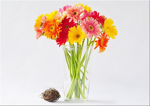 Top 10 loại hoa cắm trong ngày Tết của người miền Bắc, số 1, 2 nhà ai cũng trưng bày 6