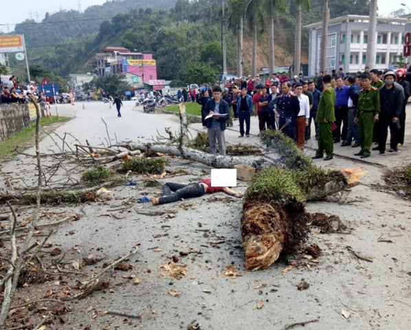 Đã xác định được danh tính nam thanh niên bị cành cây rơi trúng tử vong ở Hà Giang 0