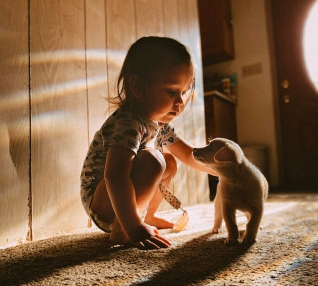   Tình yêu giữa một đứa trẻ và cún cưng thật đẹp biết bao  