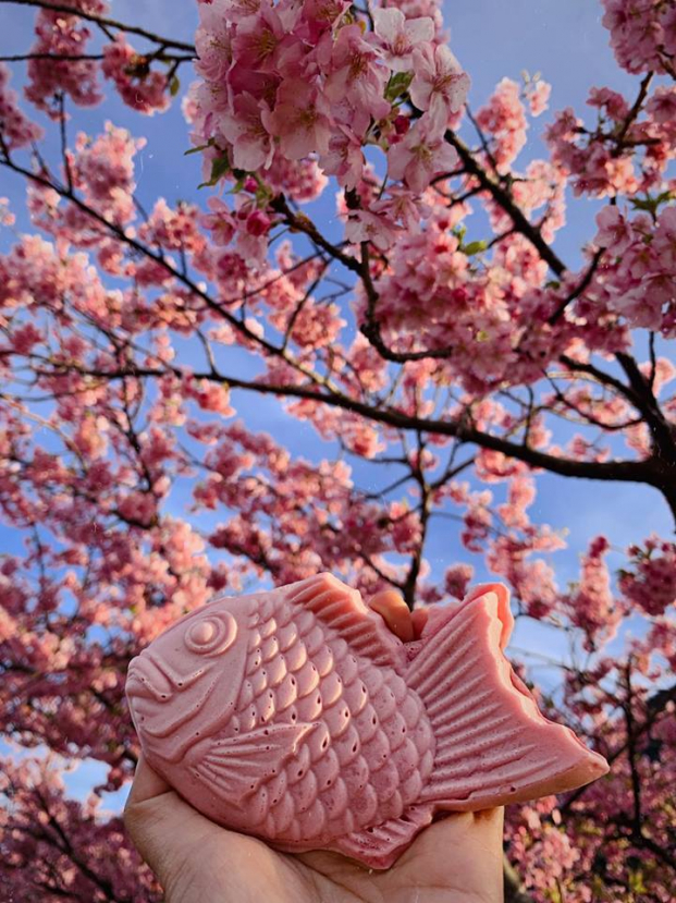   Bánh cá sakura màu hồng siêu đáng yêu được bán với giá 200¥ (khoảng 40.000đ) nhé.  