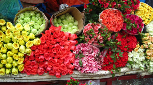   Tặng hoa trong ngày 8/3 cho người yêu là món quà an toàn nhưng quen thuộc.  