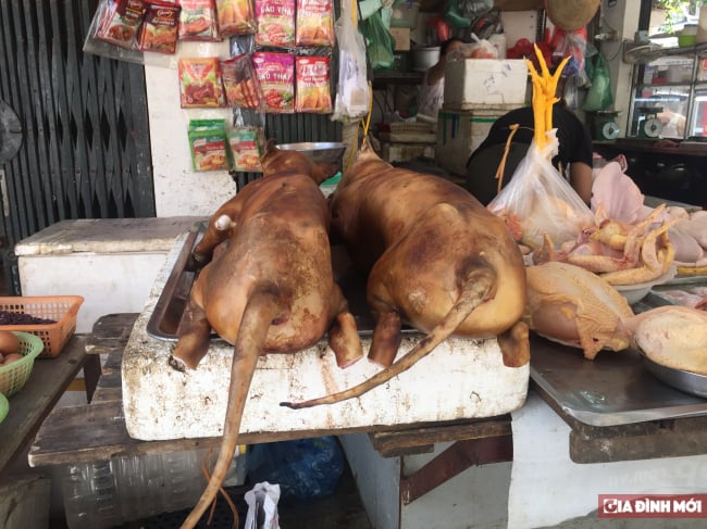   Vấn đề an toàn thực phẩm khi ăn thịt chó  