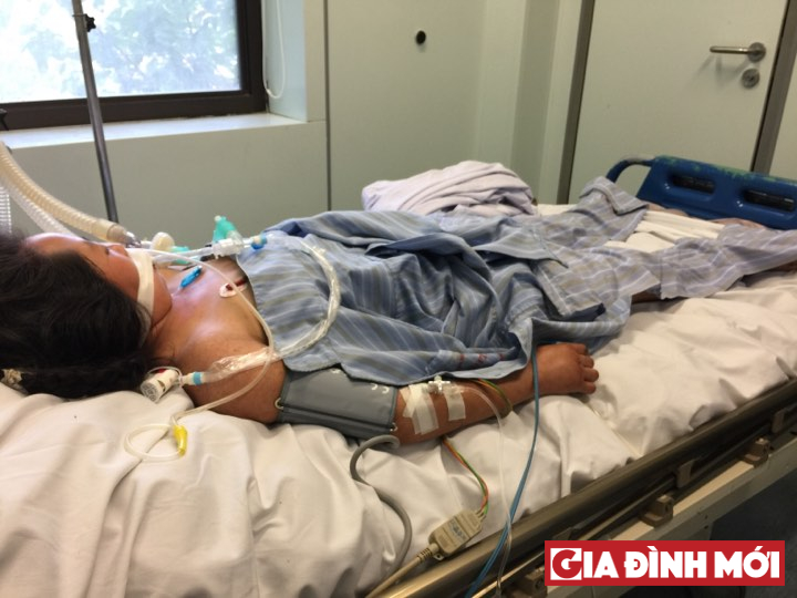 Bệnh nhân H.T.D. (24 tuổi, dân tộc Mông, trú tại tỉnh Yên Bái) vào viện trong tình trạng hôn mê sâu, trên người có nhiều vết ban xuất huyết dưới da.