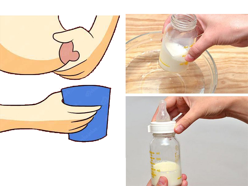 Vắt sữa đúng cách làm tăng chất lượng sữa