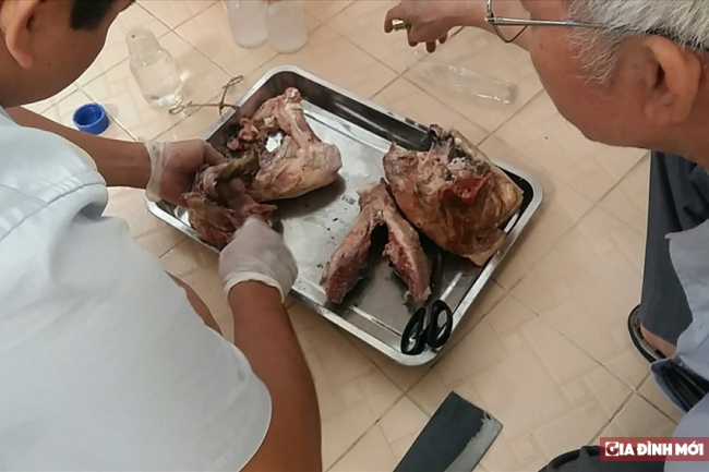 Phát hiện nhiều mẫu thịt lợn chứa sán dây, hàng trăm người mắc bệnh nguy hiểm 0