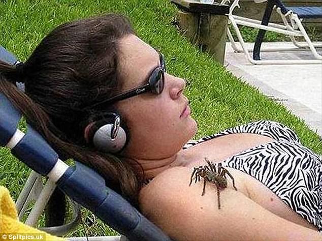 Làm sao để cảnh báo đang có một con nhện khổng lồ - tarantula trên người khi cô gái mải nghe nhạc quá to?