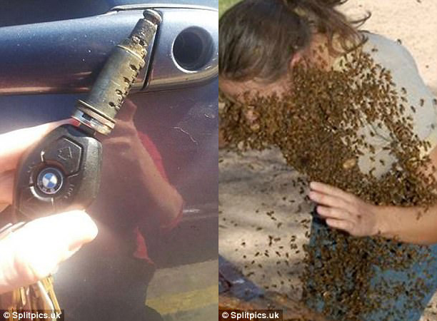 (Trái) Mình ít khi mở khóa, một khi mở phải lấy luôn cả ổ (nhưng xe thì vẫn chưa mở). (Phải) Cô gái này được bắt gặp đang đi thẳng vào một tổ ong, một phương pháp chữa bệnh bí truyền chăng?
