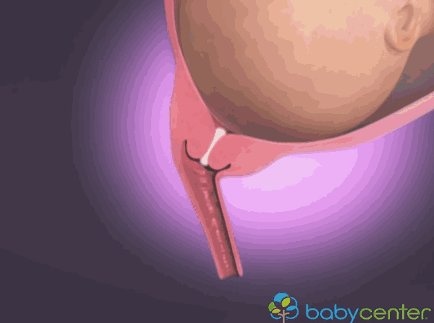 Hình ảnh 3D mô phỏng quá trình sinh nở mẹ bầu xem sẽ không còn lo lắng 3