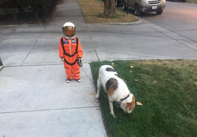 Con trai tôi cho rằng dắt chó đi dạo ra ngoài rất nguy hiểm nên đã mặc bộ đồ phi hành gia.