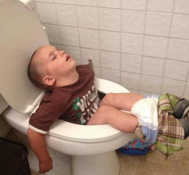 Đi vệ sinh êm ái quá nên ngủ quên mất!
