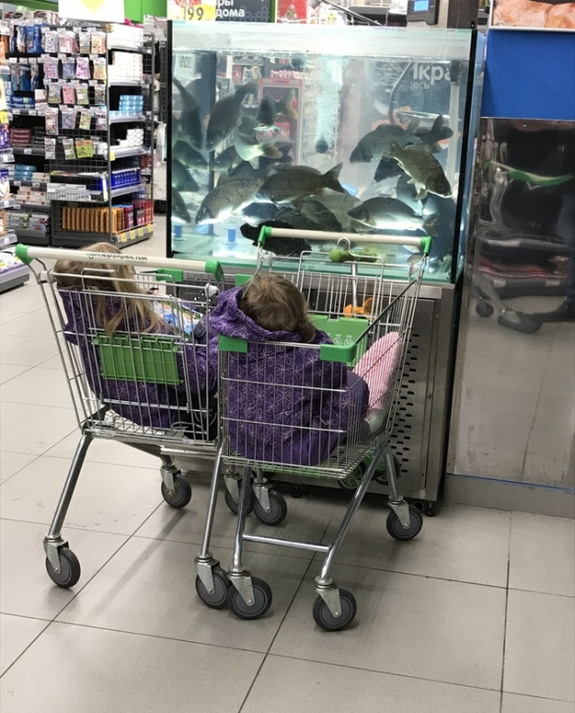 Khi bạn muốn đi siêu thị mà không muốn lũ trẻ quá nghịch ngợm.