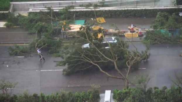 Siêu bão Mangkhut thổi bay người, đánh sập giàn giáo như phim hành động ở Hong Kong 0