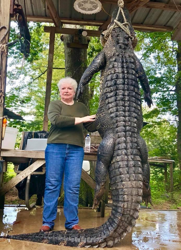 Cụ bà bắn chết cá sấu dài 3,6 mét vì dám ăn trộm thú cưng của gia đình 1