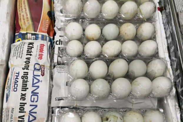   Số trứng vịt lộn được giấu trong 2 thùng xốp của bà Le Thi Ung - Ảnh: AVA  