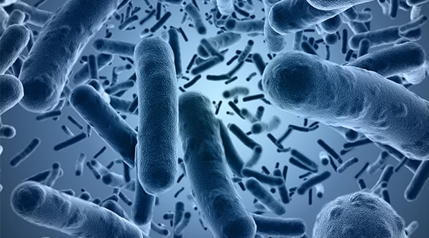 Những điều ít biết về hàm lượng chủng vi khuẩn trong men vi sinh 2