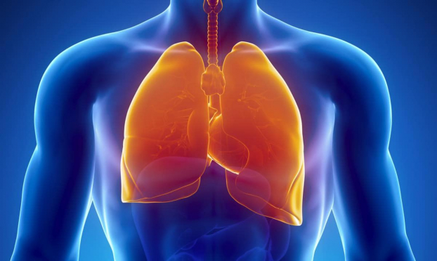   Ho dai dẳng kèm đau, tức ngực là một trong những dấu hiệu ban đầu của ung thư phổi  