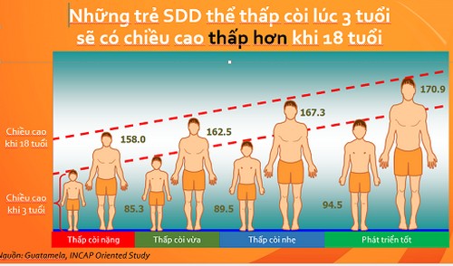 Lần đầu tiên, một đề án Dinh dưỡng người Việt quy mô, chiến lược được công bố 0