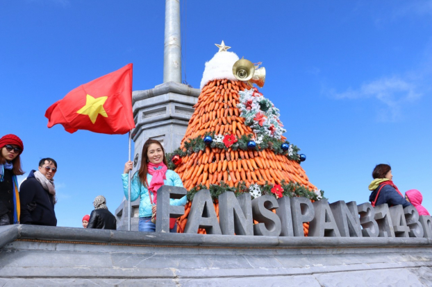 'Con đường mùa đông' trên Fansipan 'đốn tim' hàng ngàn du khách 0