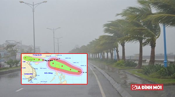   Dự báo diễn biến bão số 5 và siêu bão Mangkhut mới nhất ngày 13/9/2018  