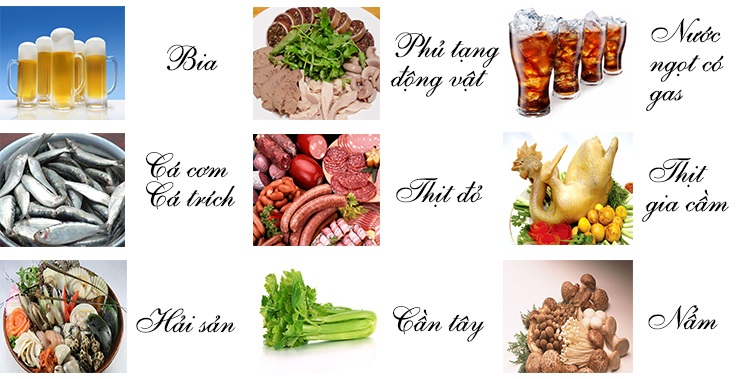  Người bị bệnh gout cần hạn chế thức ăn có nhiều nhân purine như nội tạng động vật, thịt lợn, thịt bò, gia cầm, hải sản…  