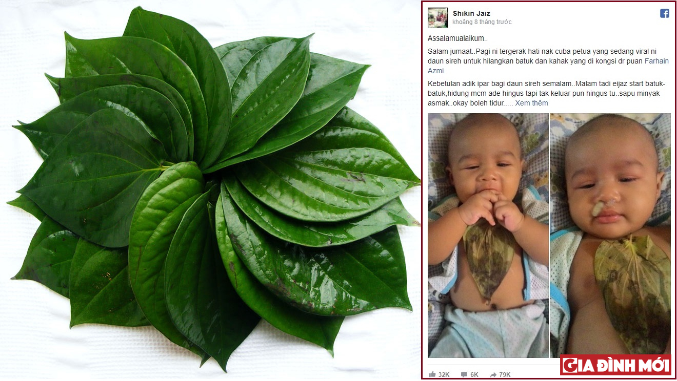 Bà mẹ Malaysia Shikin Jaiz chia sẻ trên mạng xã hội về việc chị sử dụng lá trầu không để làm giảm tình trạng ngạt mũi của con 