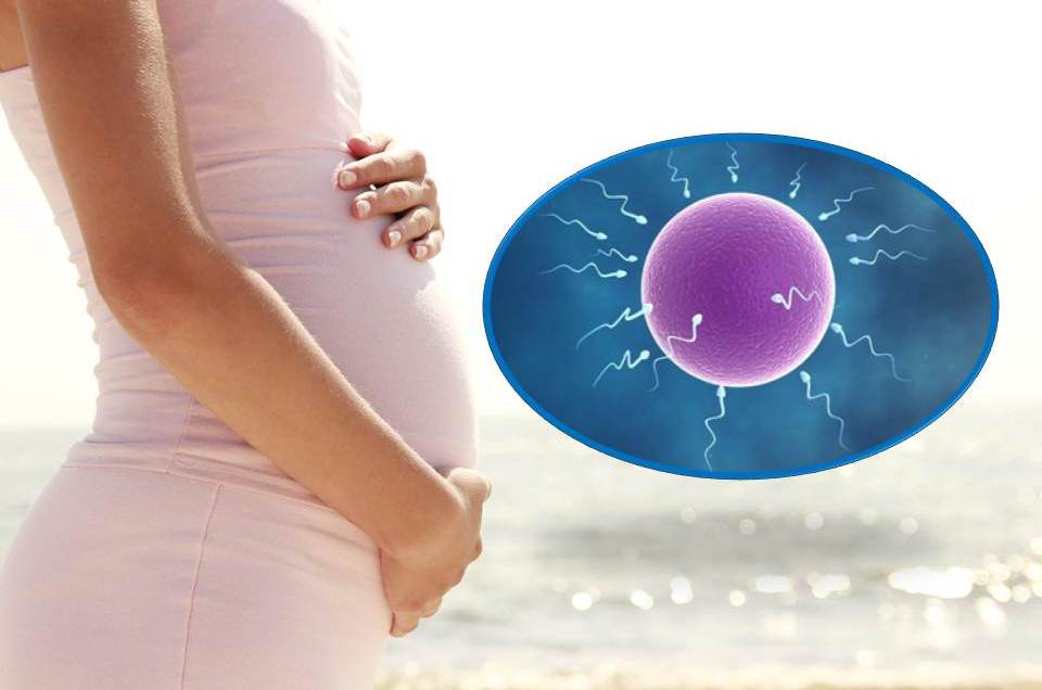 Liên tục bị lưu thai không phải do quen dạ mà là do tinh trùng và trứng kém chất lượng