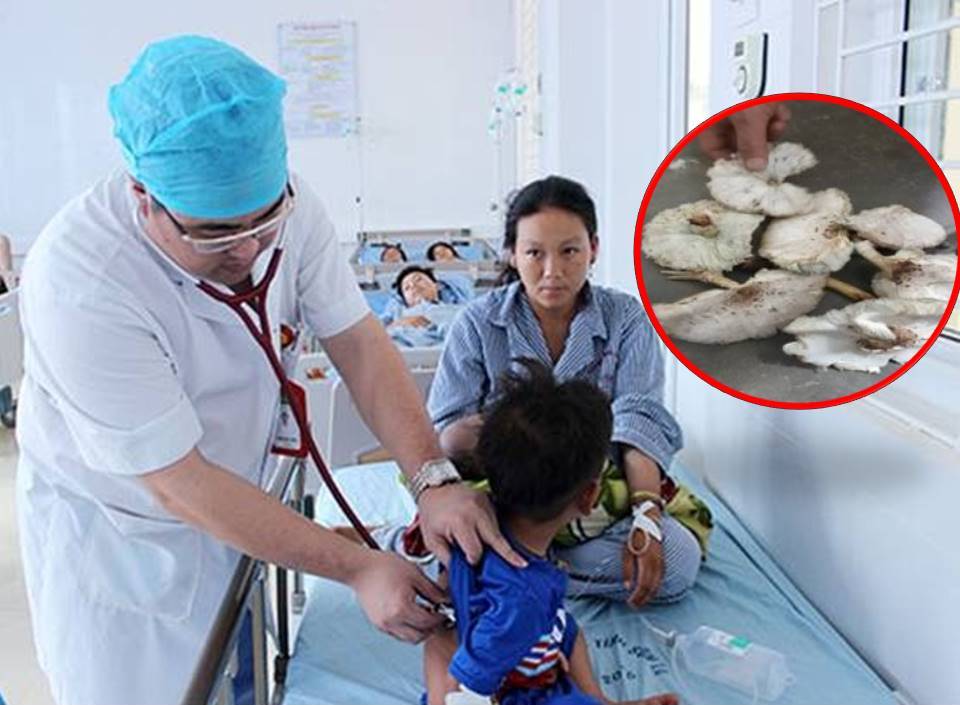 Bác sĩ của Bệnh viện Đa khoa tỉnh Sơn La  thăm khám cho bệnh nhân bị ngộ độc nấm