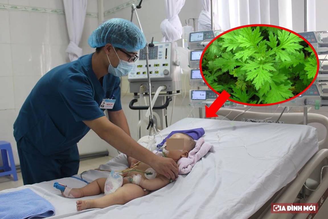   Trẻ 6 tháng tuổi đang được điều trị do bị sốc nhiễm khuẩn, viễm não vì mẹ đốt lá ngải đắp thóp chữa “mở khóa đầu”  