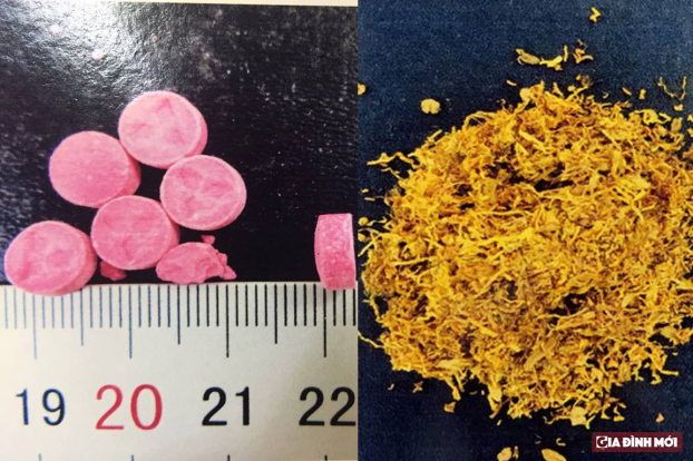   N-Ethylpentylone và 5FR-MDMB-PICA là 2 tiền chất ma túy không có trong danh sách bị cấm hoặc hạn chế sử dụng tại Việt Nam. Ảnh minh họa  