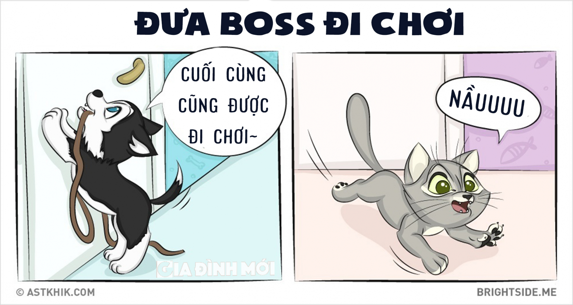 Boss mèo chỉ thích tự mình ngao du thiên hạ thôi