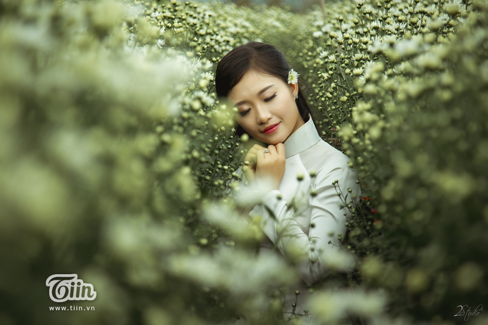 5 địa điểm chụp hoa cúc ở Hà Nội và cách tạo dáng chụp hoa cúc 'chuẩn không cần chỉnh'