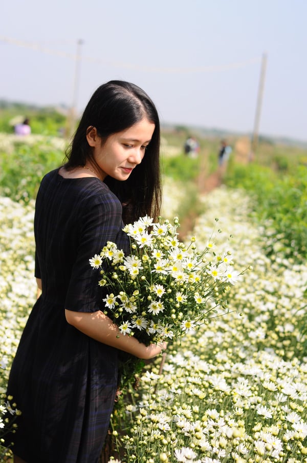 5 địa điểm chụp hoa cúc ở Hà Nội và cách tạo dáng chụp hoa cúc 'chuẩn không cần chỉnh' 8