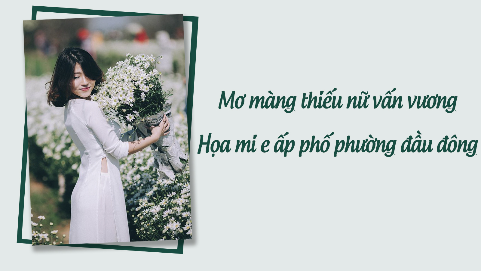 5 địa điểm chụp hoa cúc ở Hà Nội và cách tạo dáng chụp hoa cúc 'chuẩn không cần chỉnh' 0