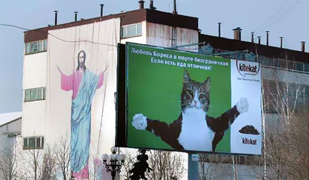 Tấm biển quảng cáo đồ ăn cho mèo với dòng chữ: 'Tình yêu của tui luôn bao la, miễn có đồ ăn ngon là được'