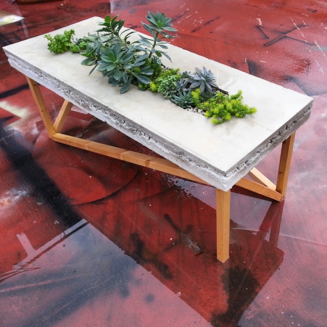 Chiếc bàn bằng xi măng để trồng cây xanh
