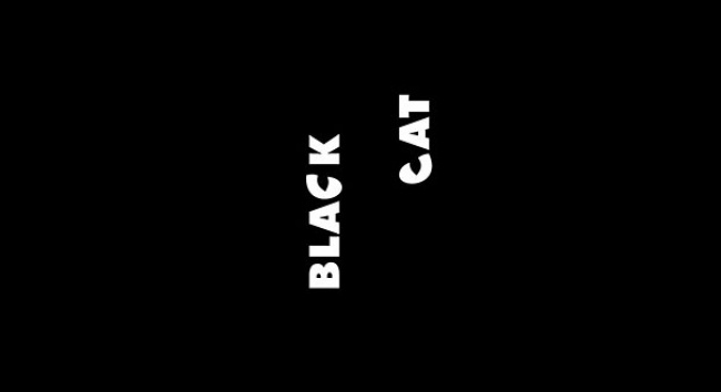 Bạn có nhìn thấy chú mèo đen (black cat) trong hình?