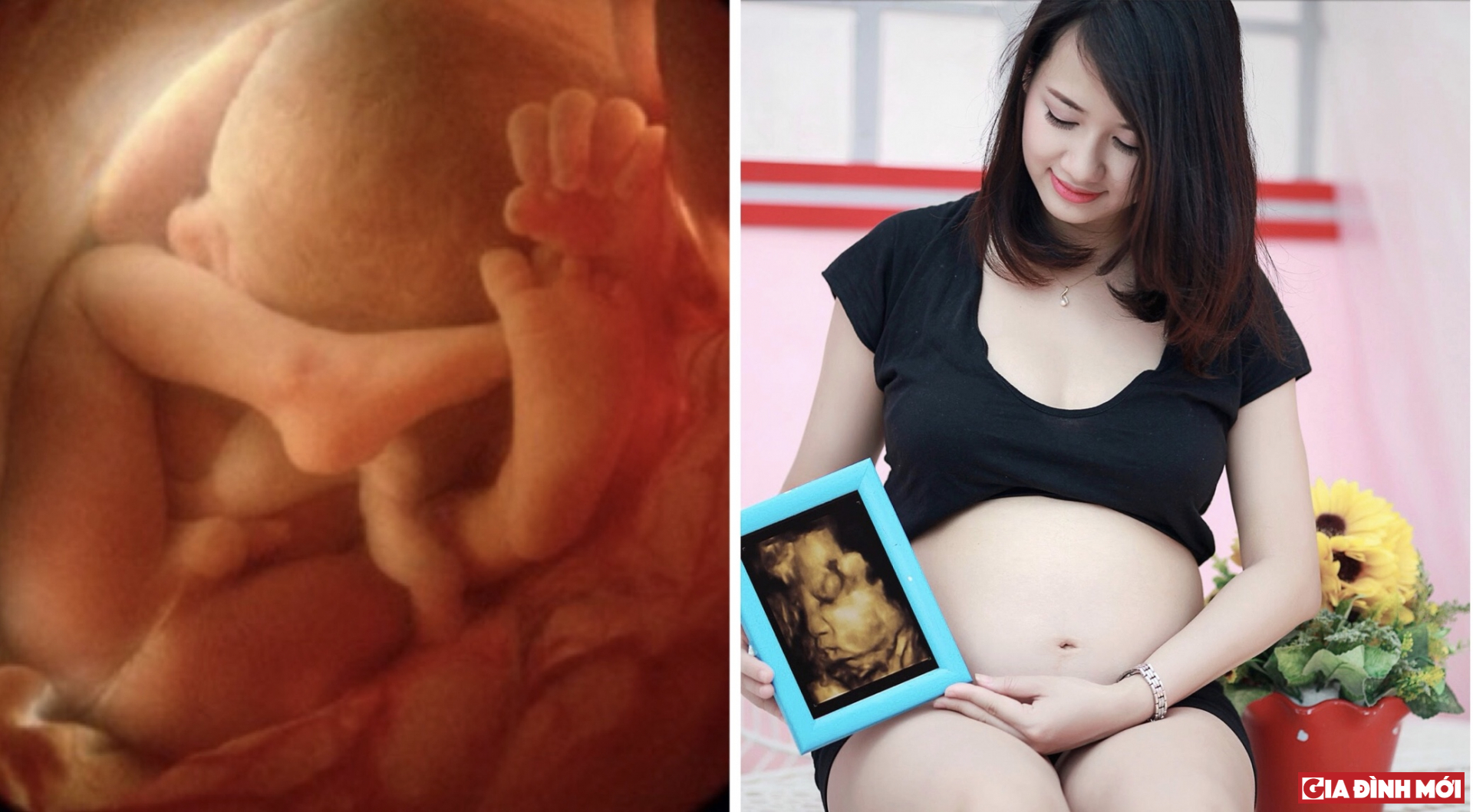 Mang thai lần đầu: Những điều mẹ bầu không thể bỏ qua 0