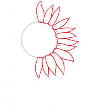 Cách vẽ hoa hướng dương đơn giản và đẹp nhất 1