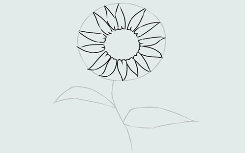 Cách vẽ hoa hướng dương đơn giản và đẹp nhất 8