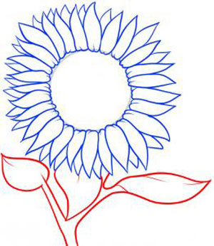 Cách vẽ hoa hướng dương đơn giản và đẹp nhất 3