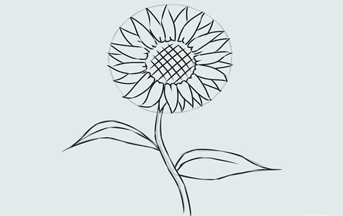 Cách vẽ hoa hướng dương đơn giản và đẹp nhất 10