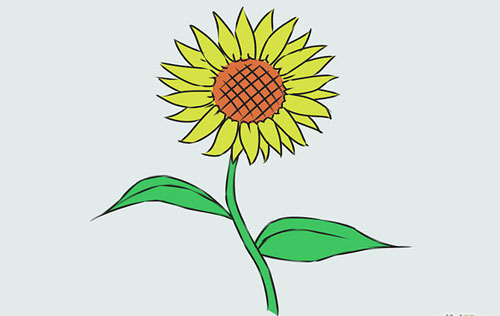 Cách vẽ hoa hướng dương đơn giản và đẹp nhất 11
