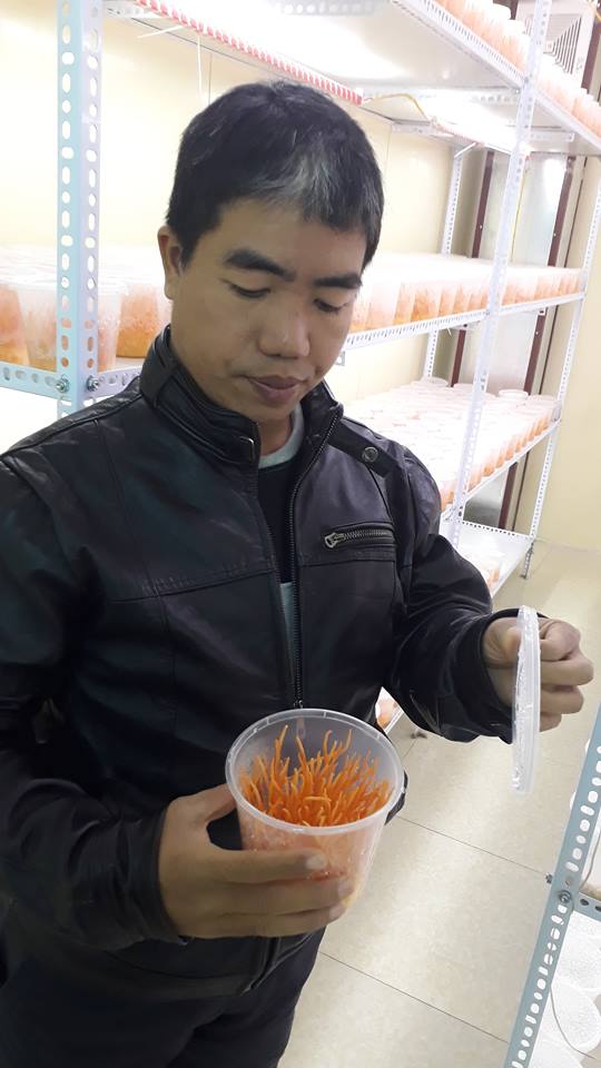   Ông Nguyễn Văn Cường, Viện trưởng Viện Nghiên cứu và ứng dụng Nông nghiệp hữu cơ kiểm tra đông trùng hạ thảo tại cơ sở nghiên cứu.  
