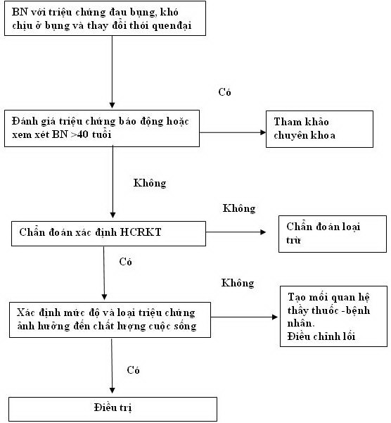 Hội chứng ruột kích thích (IBS) là gì? Các triệu chứng báo động và cách điều trị 3